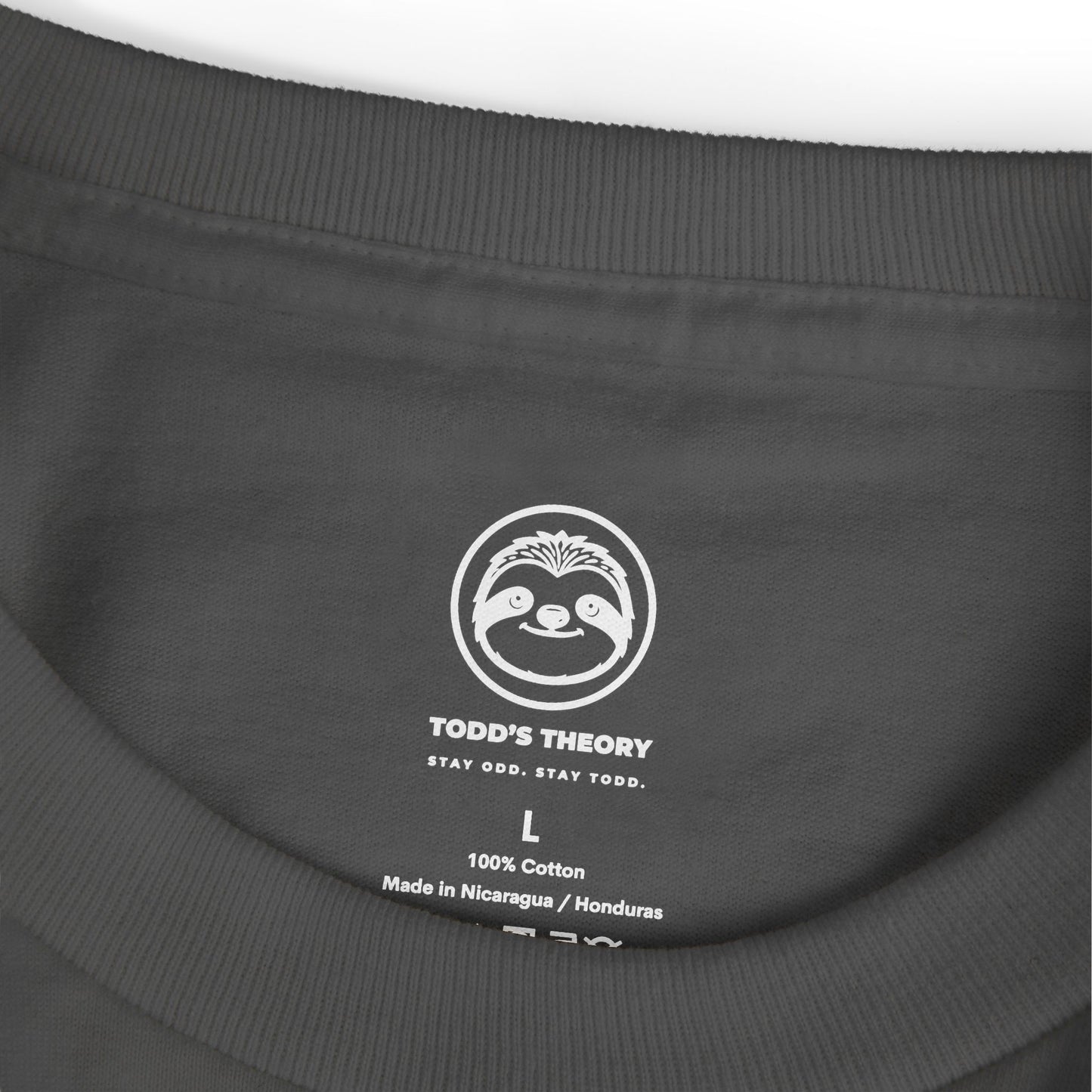 Graphic Tee – Introvert Humor